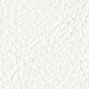 Cuir Blanc glacé