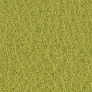Cuir Vert Pomme