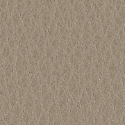 Cuir Cappuccino