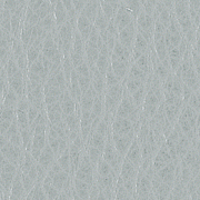 Cuir Gris Ice