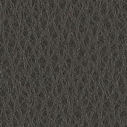 Cuir Graphite