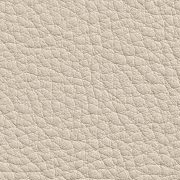 Cuir Beige