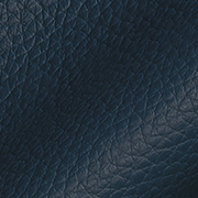 Cuir Bleu