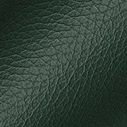 Cuir Vert